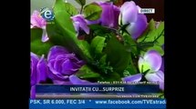 Doina Tedorescu - Ionel, Ionelule (Invitatii cu surprize - Estrada TV - 23.06.2015)