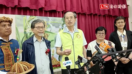 帶小米回部落！台灣100種小米漂洋返台 在原民部落生根