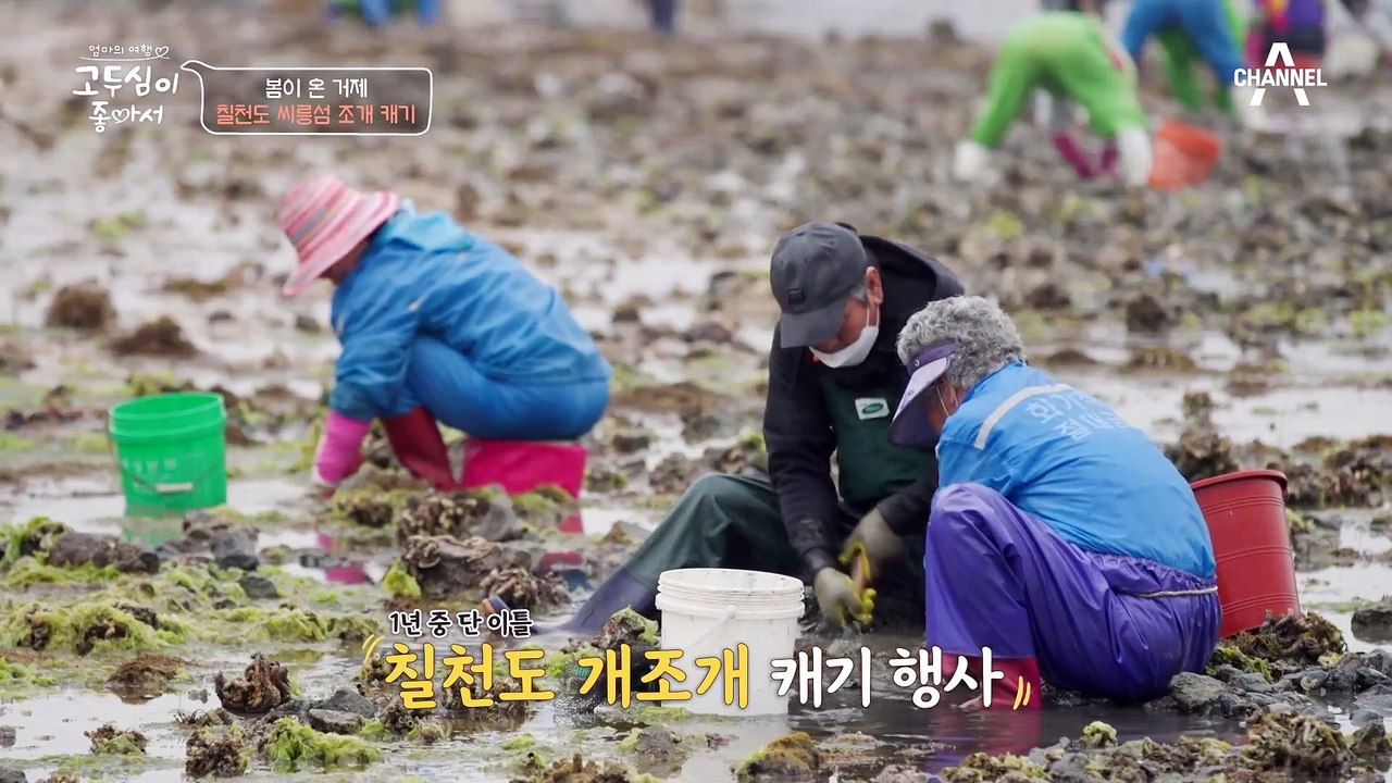 거제도 주민들, 고두심 이사 적.극.추.진?! 씨릉섬에서 개조개 캐기 실력 발휘하는 두심♥