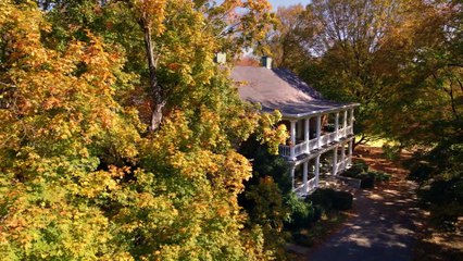 Discover Love in the Sisters Movie 💖 – Trailer & Plot Revealed