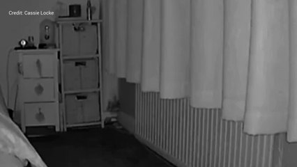 Maidstone mum with mouse phobia at 'breaking point' after three-year long mouse infestation.