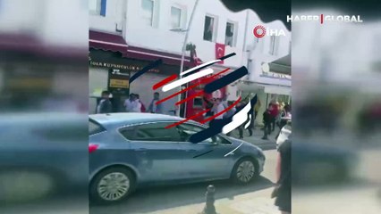 Bodrum'da korkudan zıplayan deve