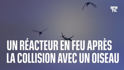Aux États-Unis, le réacteur d'un Boeing prend feu après une collision avec un oiseau