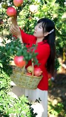 Agriculture video | how to planting fruits |trees