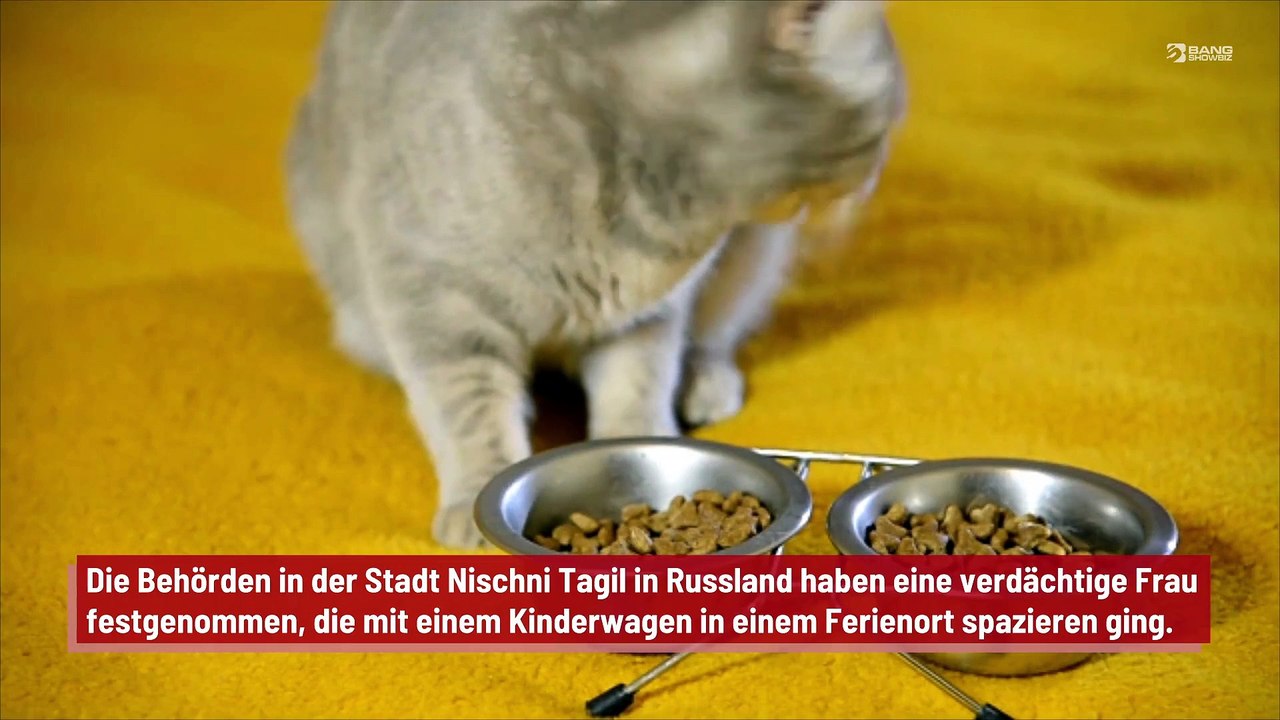 Frau verkleidet ihre Katze als Baby, um illegale Substanzen zu verstecken