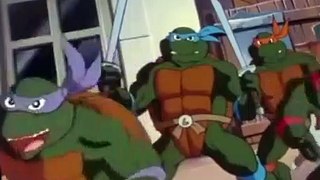 Teenage Mutant Ninja Turtles (1987) S09 E001 The Unknown Ninja