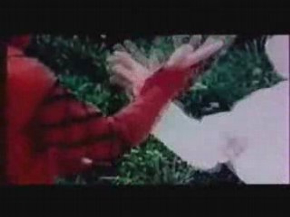 FLIC OU NINJA 3