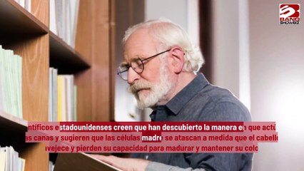 Científicos podrían haber descubierto las razones por las que el cabello se vuelve canoso