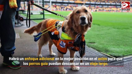 Virgin Atlantic se asocia con Guide Dogs para mejorar experiencias de personas débiles visuales