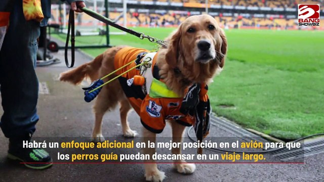 Virgin Atlantic se asocia con Guide Dogs para mejorar experiencias de personas débiles visuales