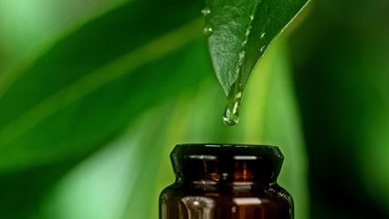 Sweet, floral, aromatic: Here's the type of perfume you should chose based on your personality