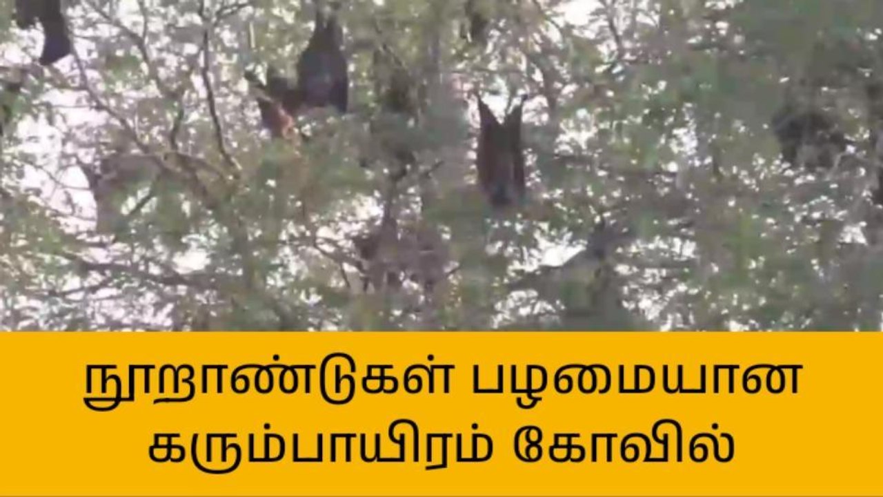 தஞ்சை:100 ஆண்டுகள் பழமை வாய்ந்த அய்யனார் கோவில்