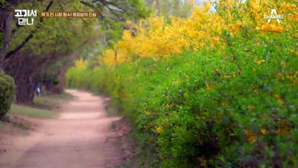 항정살도 위치에 따라 부위가 나뉜다?! 한 입 보이(?) 호동이 알려주는 항정살의 진실★