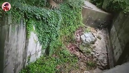 15 Epische Und Tödliche Jagden Wilder Tiere