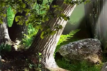 Bonne fête du travail et joyeux 1er mai