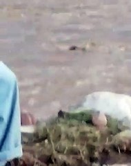 شلالات طور آل الحسن تعود للتدفق مجددًا 🌊