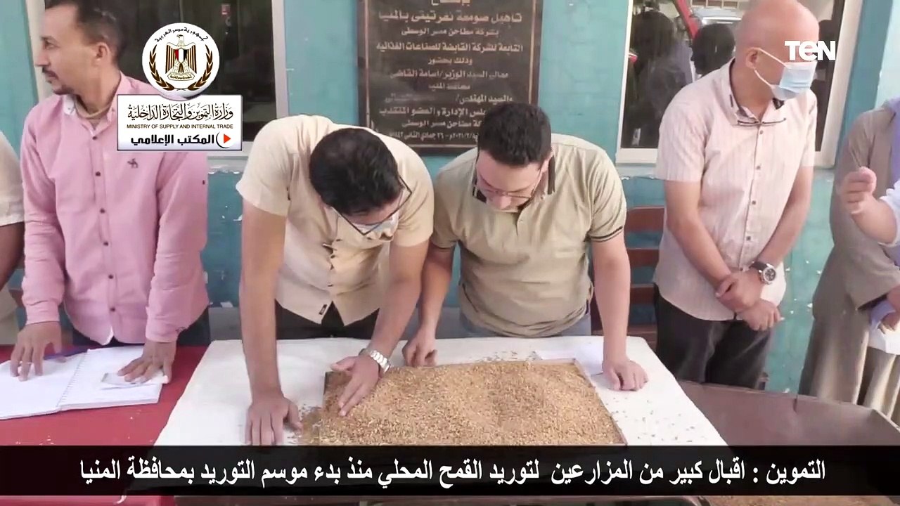 اقبال كبير من المزارعين لتوريد القمح المحلي منذ بدء موسم التوريد بمحافظة المنيا