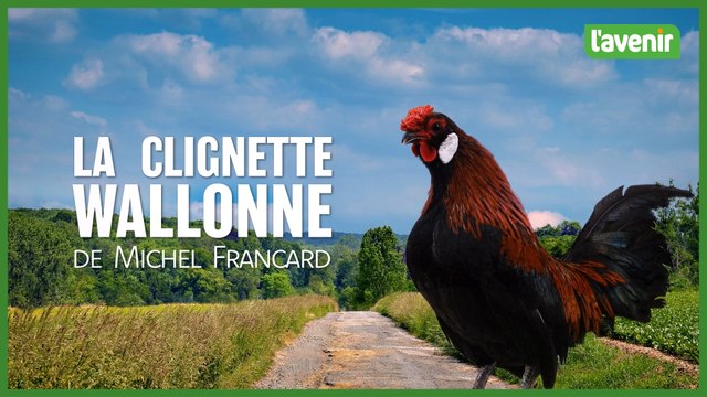 La clignette wallonne de Michel Francard