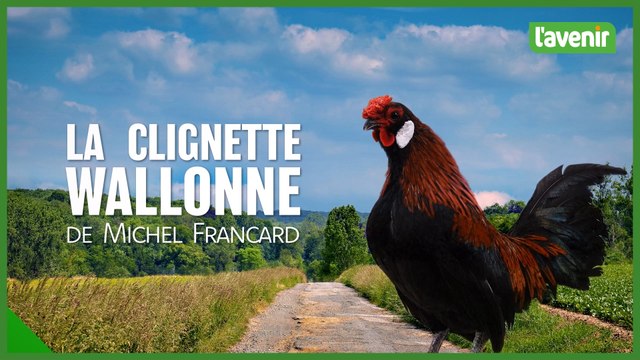 La clignette wallonne de Michel Francard