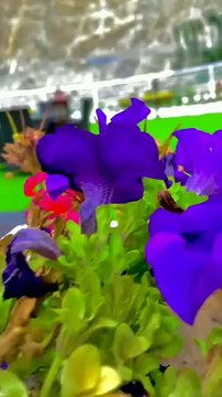 Beautiful Attabad Lake Hunza Valley Gilgit Baltistan #pakistan #beauty #beautiful