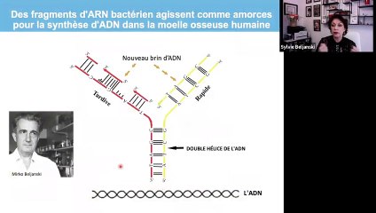 Les Fragments d'ARN Beljanski