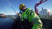 Comment aligner qualification et évolution des métiers de la mer : un exemple réussi en Norvège