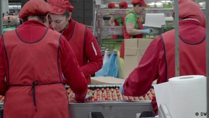 Almeria - Gemüsegarten oder Plastik-Alptraum?