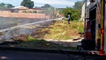 Bombeiros combatem incêndio em grande área de vegetação no Cascavel Velho