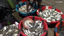 سلطات غينيا تفتح تحقيقاً بعد ظهور مشاكل جلدية على عشرات الصيادين