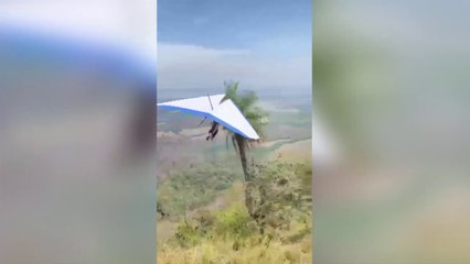 ext-nandayure-250423