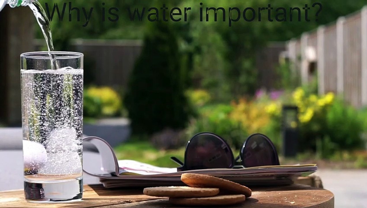 Why Is Water Important?