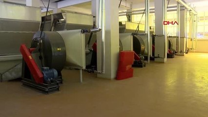 BAKAN KİRİŞCİ RİZE'DE ÇAY FABRİKASINA ZİYARET ETTİ