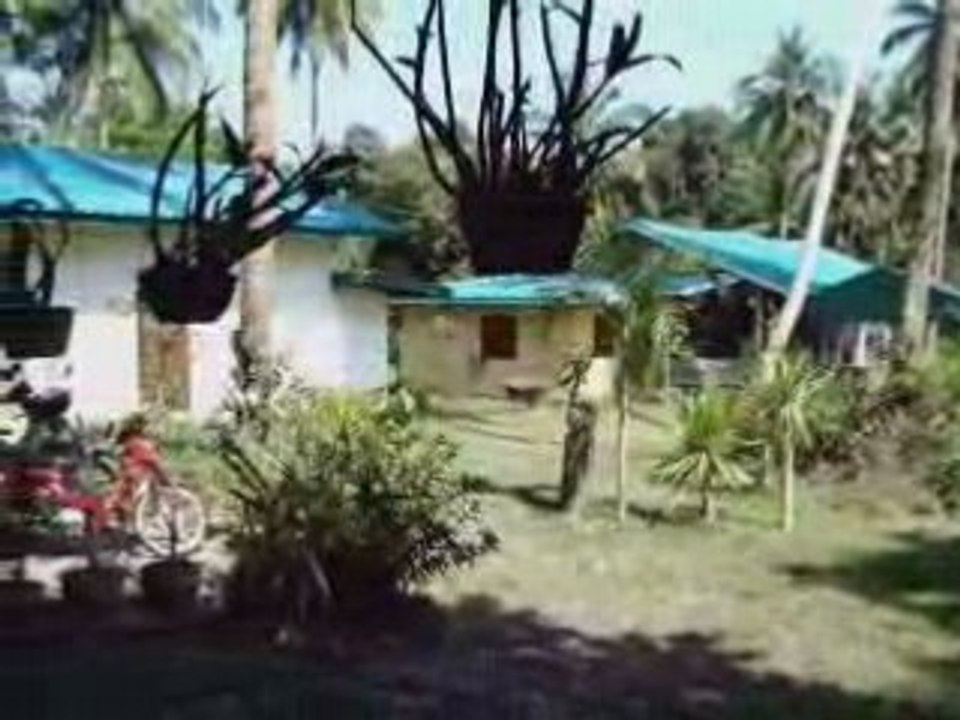 Siangboxing Camp Thailand