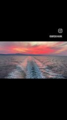 Nature lover beautiful nature