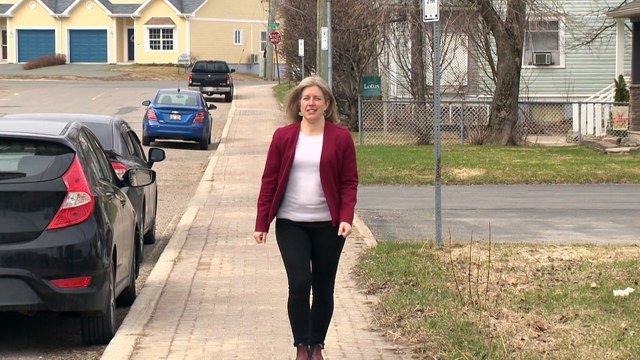 25 avril TOPO LPM elections NB