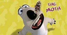 Bernard Bernard S01 E029 The Moth