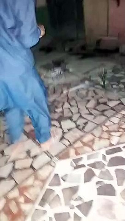 VID-20230307-WA0008