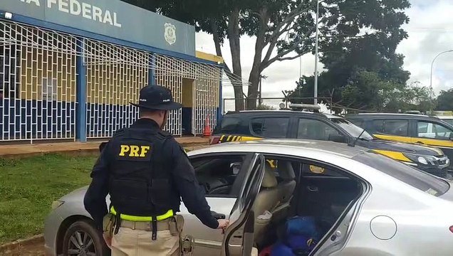 PRF apreende vinte aves silvestres em Planaltina - DF