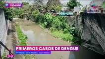 Se registran casos de dengue en Hidalgo; habitantes ya toman acciones