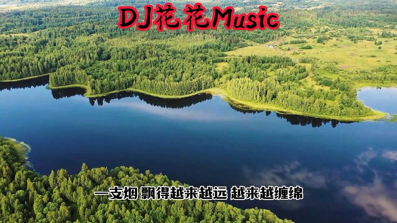 DJ花花Music音乐一行無言刻成碑DJ版#tiktok #车载音乐 #djhouse #2023新歌