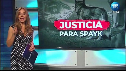 Piden pena máxima para mujer que habría ahorcado a perro en Quito