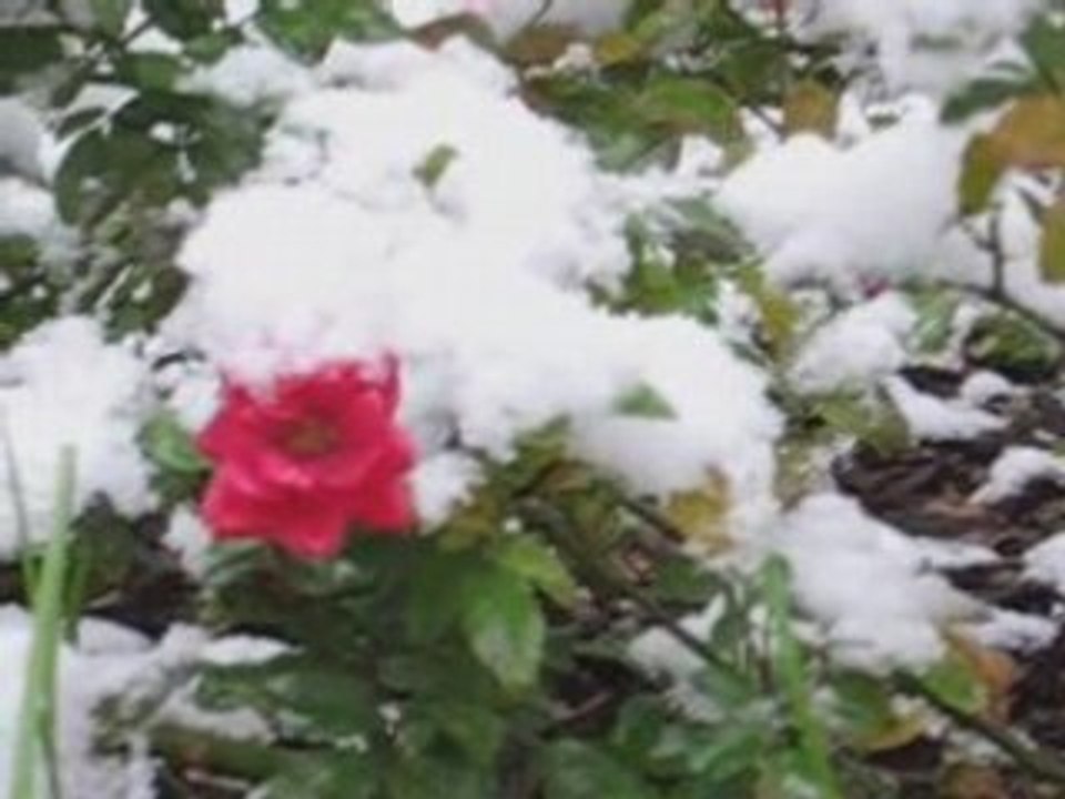 First Snow in Warsaw