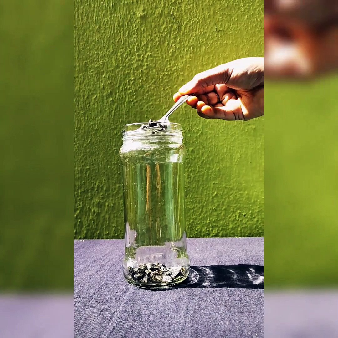 Terrarium Setup