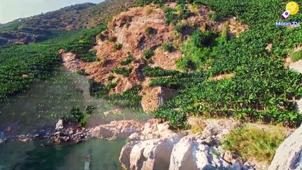 Healing Reiki Music for Body and Soul