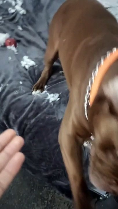 "No me mires con esos ojitos"