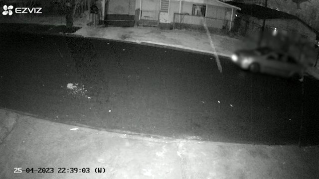 Câmera flagra momento em que casal de cães filhotes são abandonados em Toledo