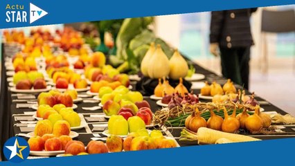 MasterChef : 44 personnes victimes d'une intoxication alimentaire sur le tournage de la version espa