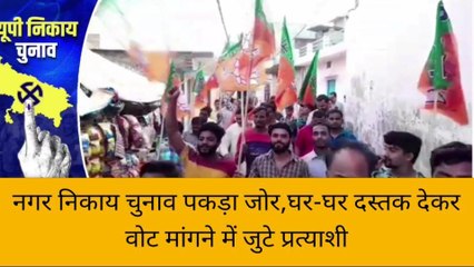 सुलतानपुर में नगर निकाय चुनाव पकड़ा जोर, घर-घर दस्तक दे वोट मांग रहे प्रत्याशी