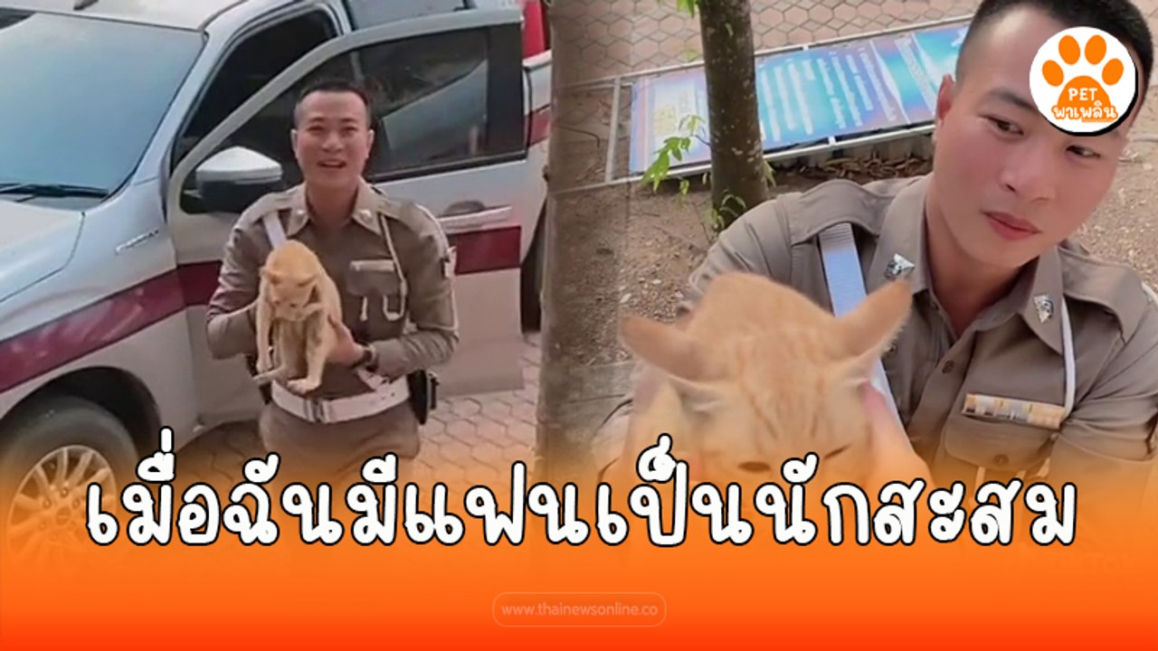 เมื่อฉันมีแฟนเป็นนักสะสม (แมว) เจอเป็นเก็บ