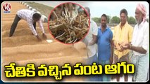 Massive Rains Hit Warangal, High Crop Loss _ Telangana Rains | V6 News